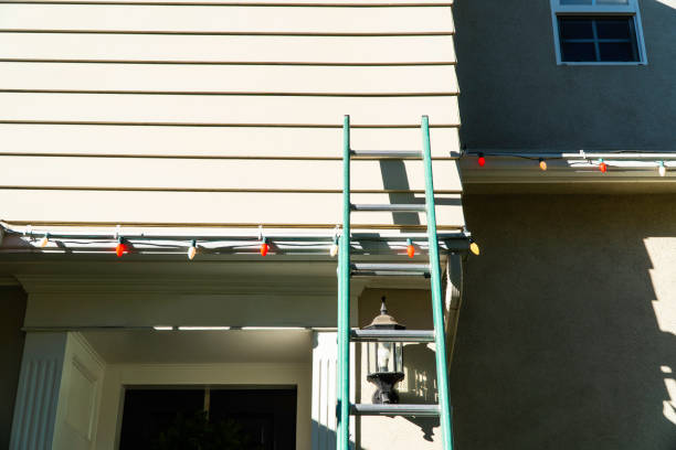 Best Siding Painting and Refinishing  in Castle Shannon, PA